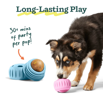 Woof Birthday Pupsicle Refill Pops