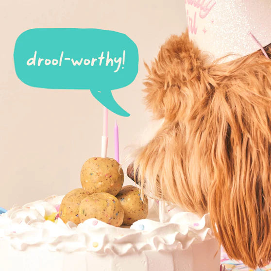 Woof Birthday Pupsicle Refill Pops