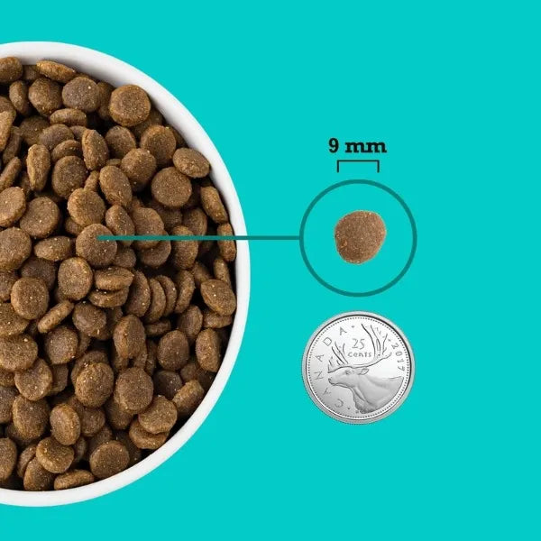 Acana Puppy Sea To Farm Dog Food