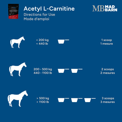 Acetyl L-Carnitine Hydrochloride 1 kg 🍁 MadBarn