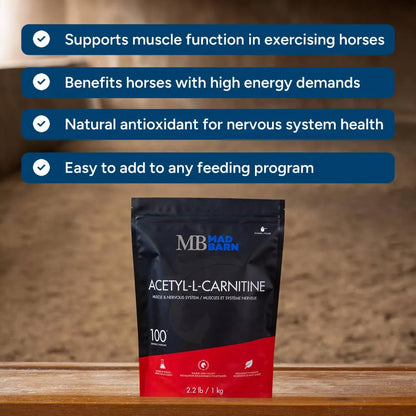 Acetyl L-Carnitine Hydrochloride 1 kg 🍁 MadBarn