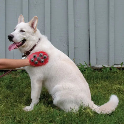 Shedrow K9 🍁 Magnetic Jelly Scrubber