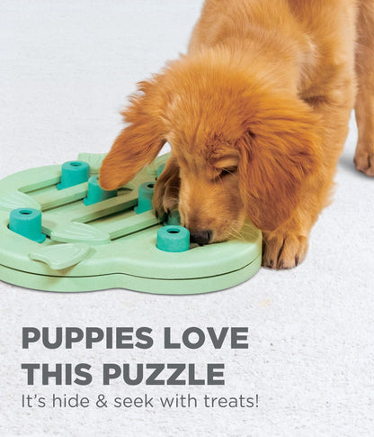 Outward Hound Nina Ottosson Puppy Hide n' Slide Puzzle Game - Level 2