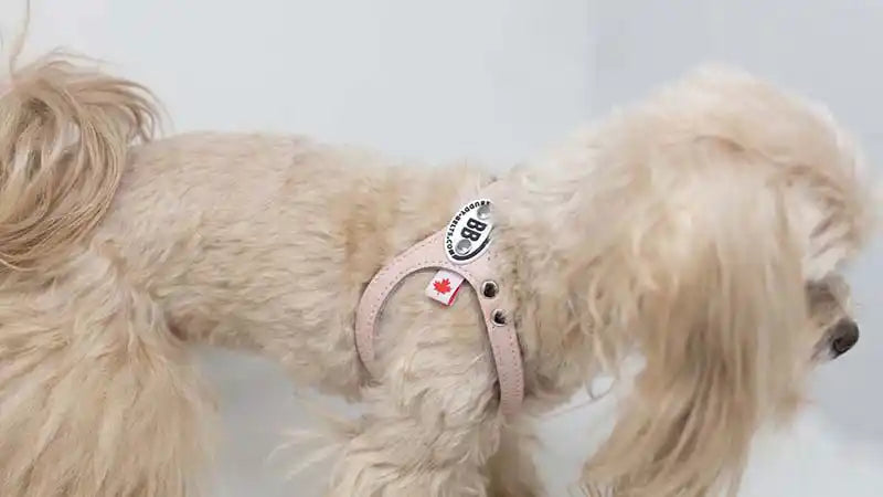 Buddy Belts🍁 Light Pink Genuine Leather Harness