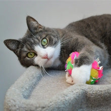 Cancor🍁Cat Mini Crinkle Ball