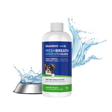 Bluestem 🍁Water Additive with Coactiv+ Mint Flavour for Dogs 500mL