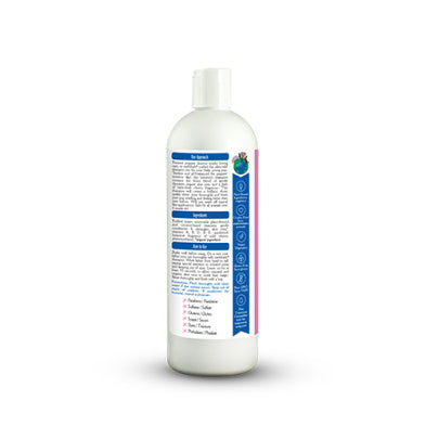 Earthbath Ultra-Mild Puppy Shampoo 16oz