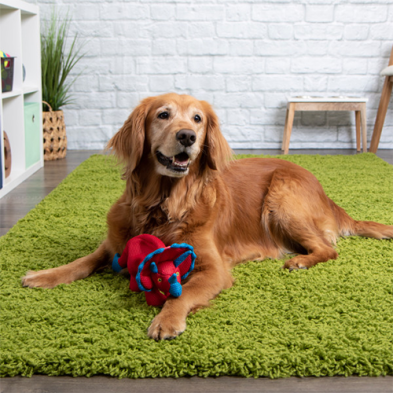 goDog Double Chew Guard™ Dino Frills Red Small