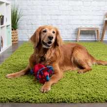goDog Double Chew Guard™ Dino Frills Red Small