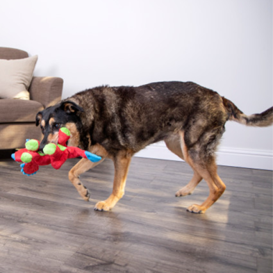 goDog Dinos Squeaky Dino Frills Red Large