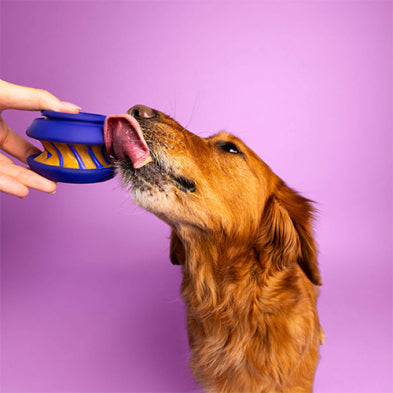 WAGLAB™ Play Stack™ The Slobber Dog Toy
