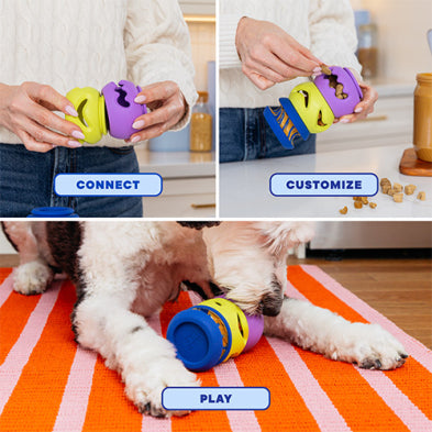 WAGLAB™ Play Stack™ The 2-Pack Multi Dog Toy
