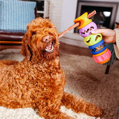 WAGLAB™ Play Stack™ The 2-Pack Multi Dog Toy