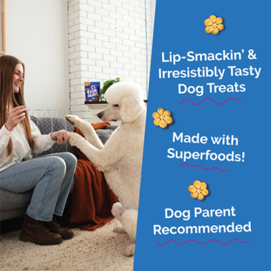 Pumpkin & Blueberry Fruitables Dog Treats