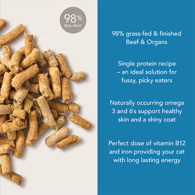 Feline Natural Beef Feast for Cats 320g