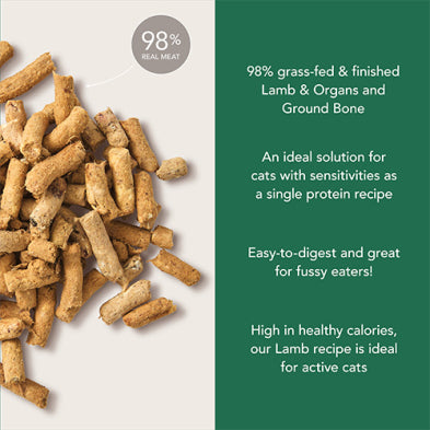 Feline Natural Lamb Feast for Cats 320g