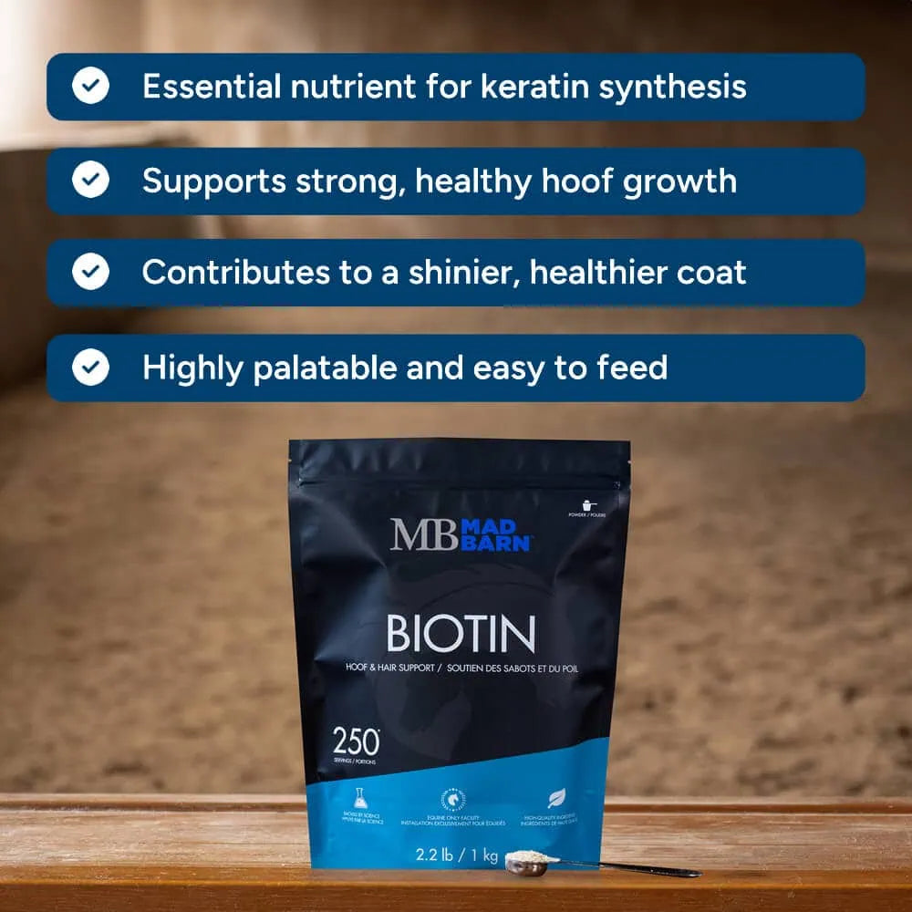Biotin -  Hoof, Skin + Coat Support 1Kg🍁 MadBarn