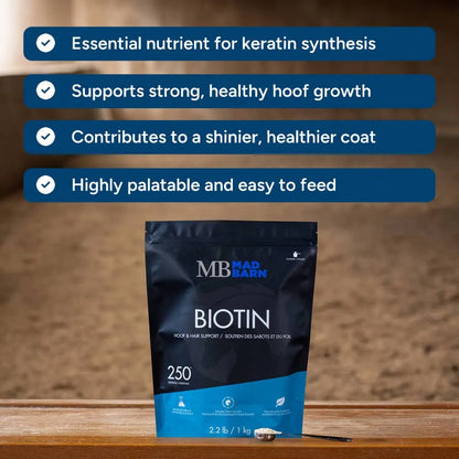 Biotin -  Hoof, Skin + Coat Support 1Kg🍁 MadBarn