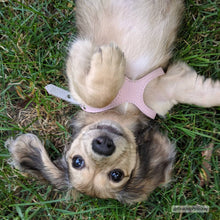 Buddy Belts🍁 Light Pink Genuine Leather Harness