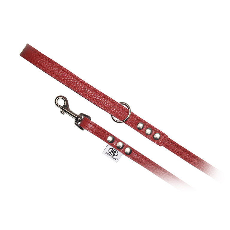 Buddy Belt🍁Red All Leather Leash