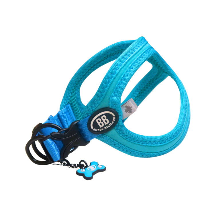 Buddy Belt 🍁 Kingfisher Sport