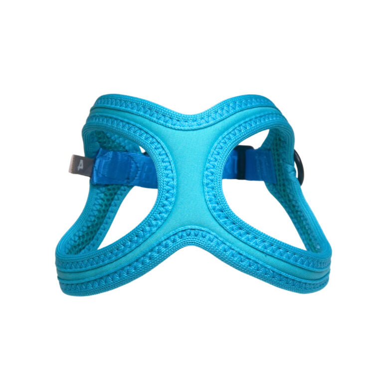Buddy Belt 🍁 Kingfisher Sport