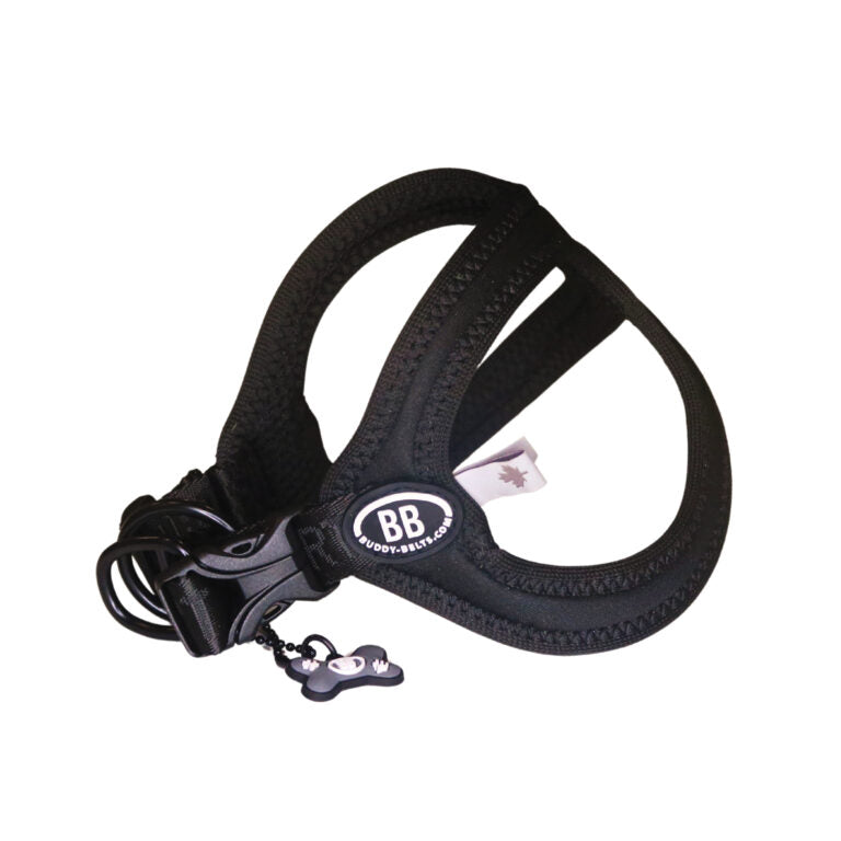 Buddy Belt 🍁 New Moon Sport