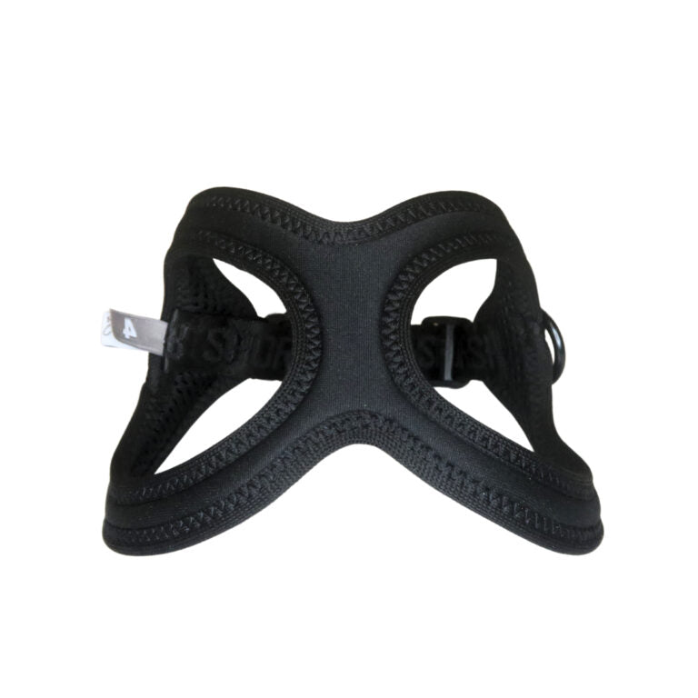 Buddy Belt 🍁 New Moon Sport