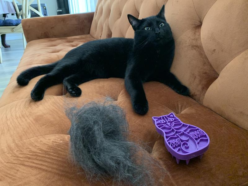 Kong Zoom Groom for Cats
