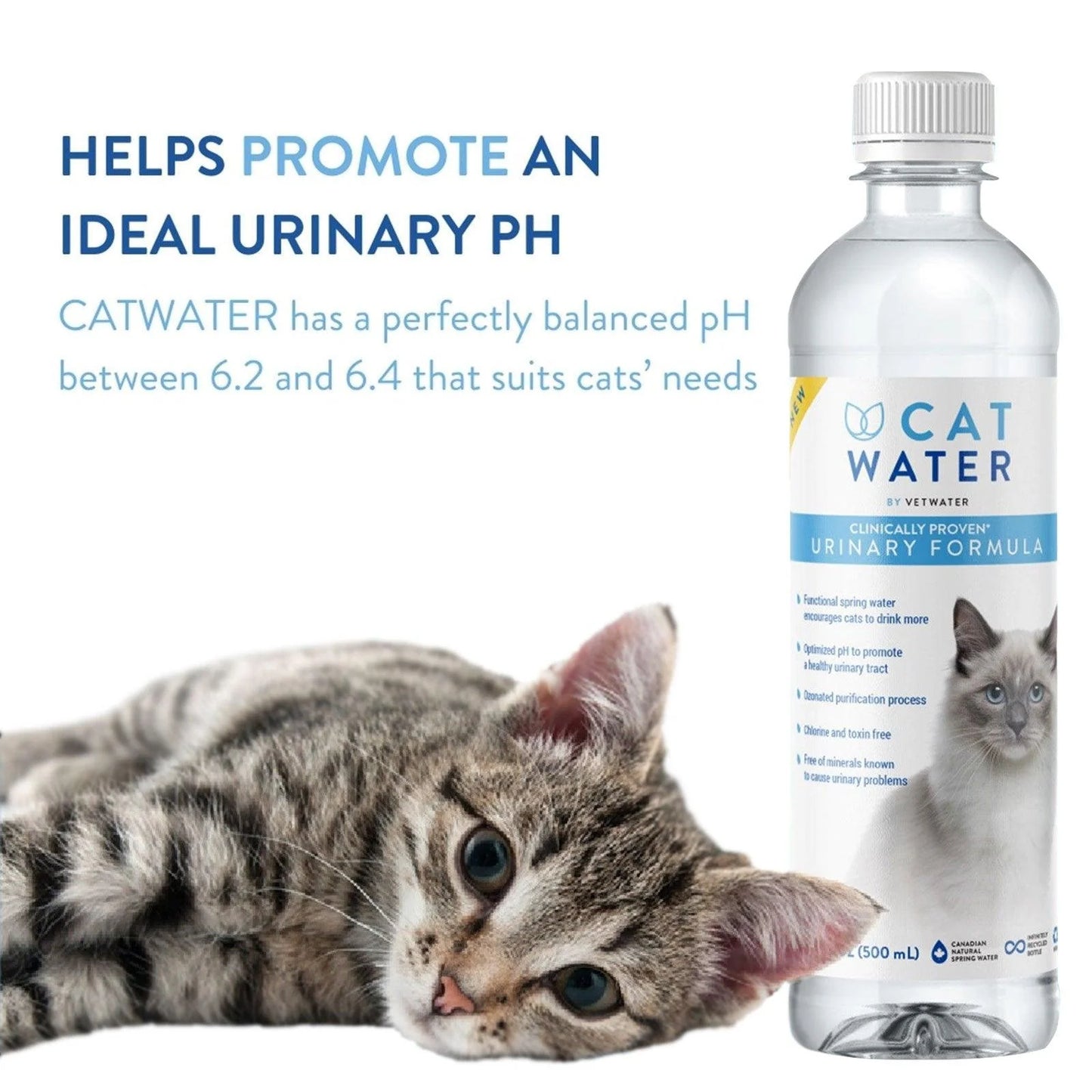 Vet Water Ph Balanced Cat Water