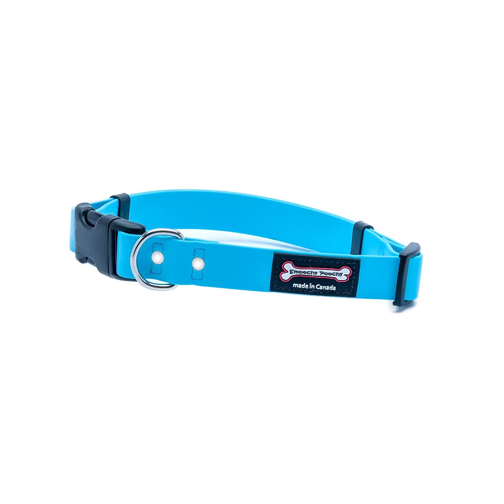 Smoochy Poochy🍁 Turquoise Quick Release Biothane Collar