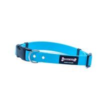 Smoochy Poochy🍁 Turquoise Quick Release Biothane Collar
