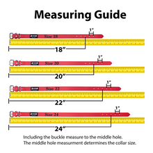 Smoochy Poochy 20 x 1.5" Turquoise Poly Collar