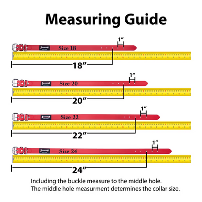 Smoochy Poochy 20 x 1.5" Turquoise Poly Collar