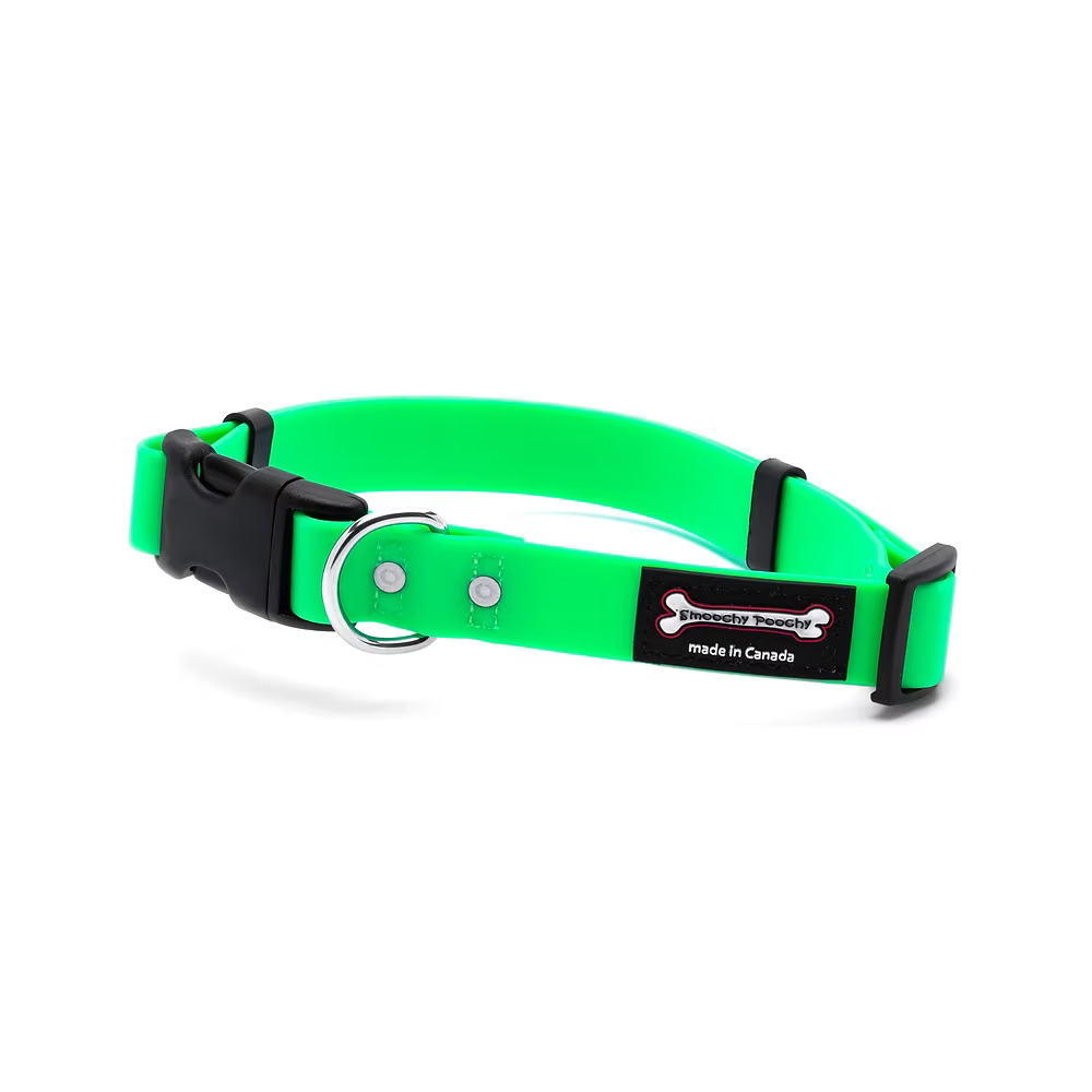 Smoochy Poochy 🍁Apple Quick Release Biothane Collar