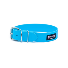 Smoochy Poochy 20 x 1.5" Turquoise Poly Collar