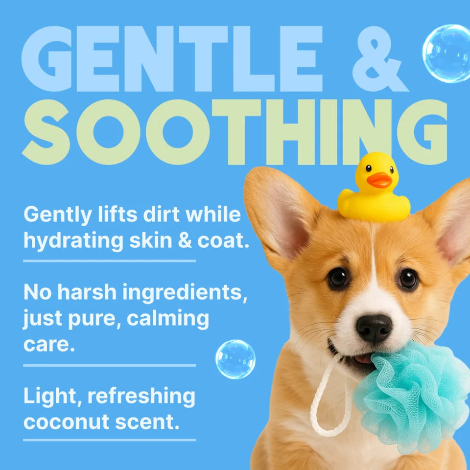 Tropiclean Gentle Coconut Puppy Shampoo 20oz