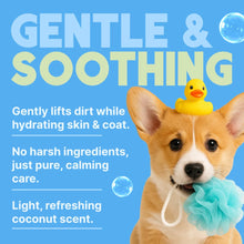 Tropiclean Gentle Coconut Puppy Shampoo 20oz
