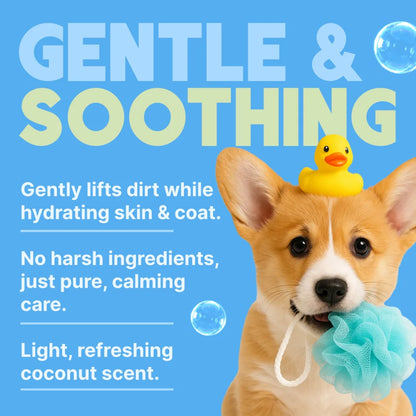 Tropiclean Gentle Coconut Puppy Shampoo 20oz