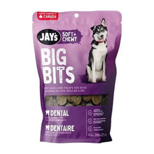 Jay's 🍁Soft & Chewy Big Bits Dental for Big Dogs