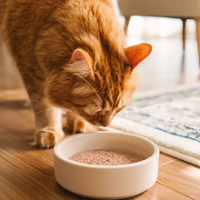 Faim Museau 🍁Chicken & Salmon for Cats