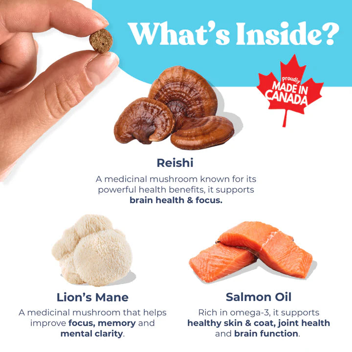 healthybud Training Treats with superfoods 6.5oz