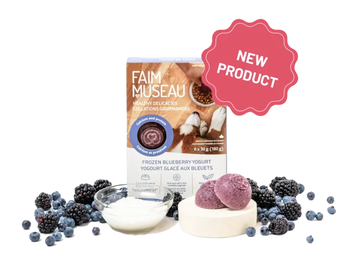 Faim Museau 🍁Healthy Delicacies Frozen Blueberry Yogurt 6 x 30g