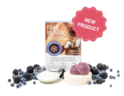 Faim Museau 🍁Healthy Delicacies Frozen Blueberry Yogurt 6 x 30g