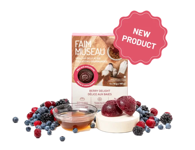 Faim Museau 🍁Healthy Delicacies Frozen Berry Delight 6 x 30g