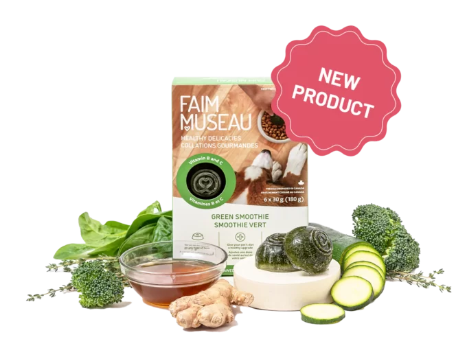 Faim Museau 🍁Healthy Delicacies Green Smoothie 6 x 30g  🍁