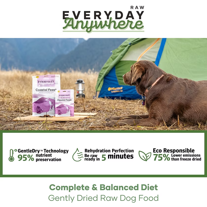 RDBK 🍁Coastal Feast Salmon & Beef Gently Dried Raw Food for Dogs