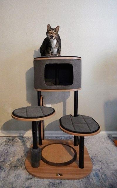 PetPals Group STARBZ 4 Level Cat Tree