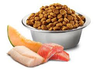 Farmina N&D Ocean Salmon, Cod & Cantaloupe Med/Maxi Dog Food
