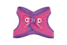 RC Pets 🍁Azalea Evolution Step-in Harness